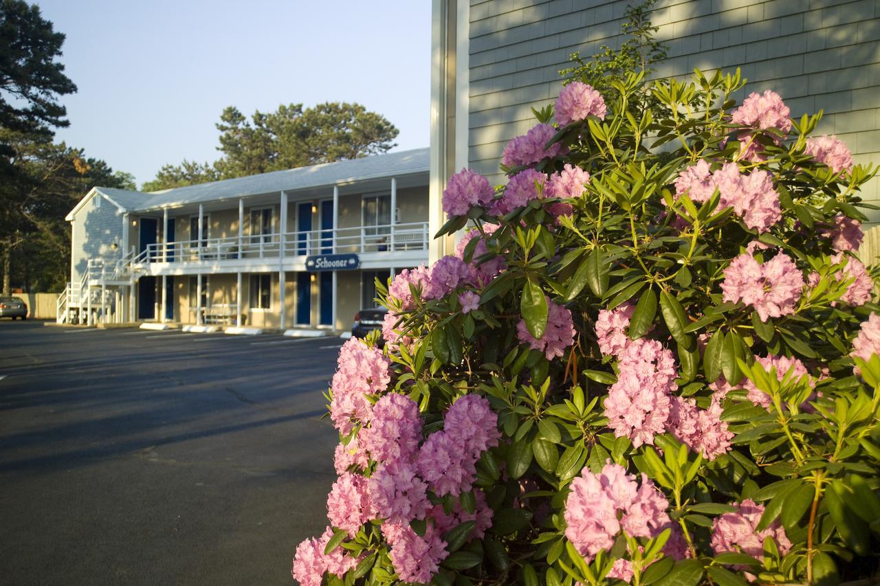 Southfleet Motor Inn Wellfleet Exterior photo